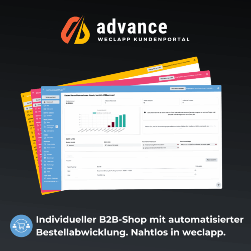 Logo Plugin advance B2B-Shop